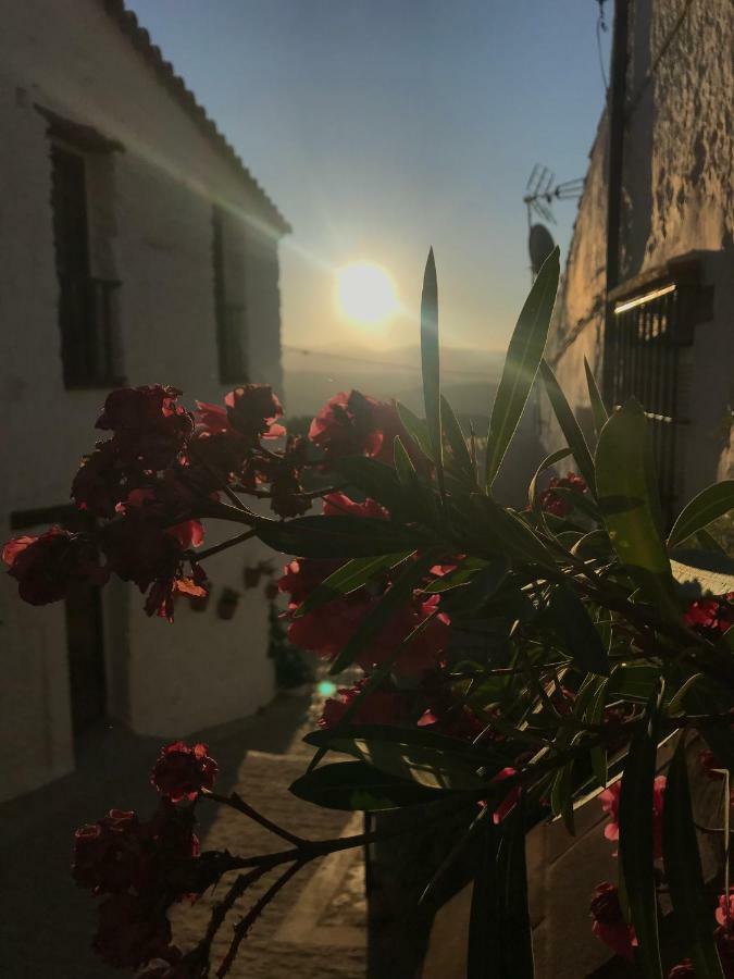 Affittacamere Casa Moraleda Benalauría Esterno foto